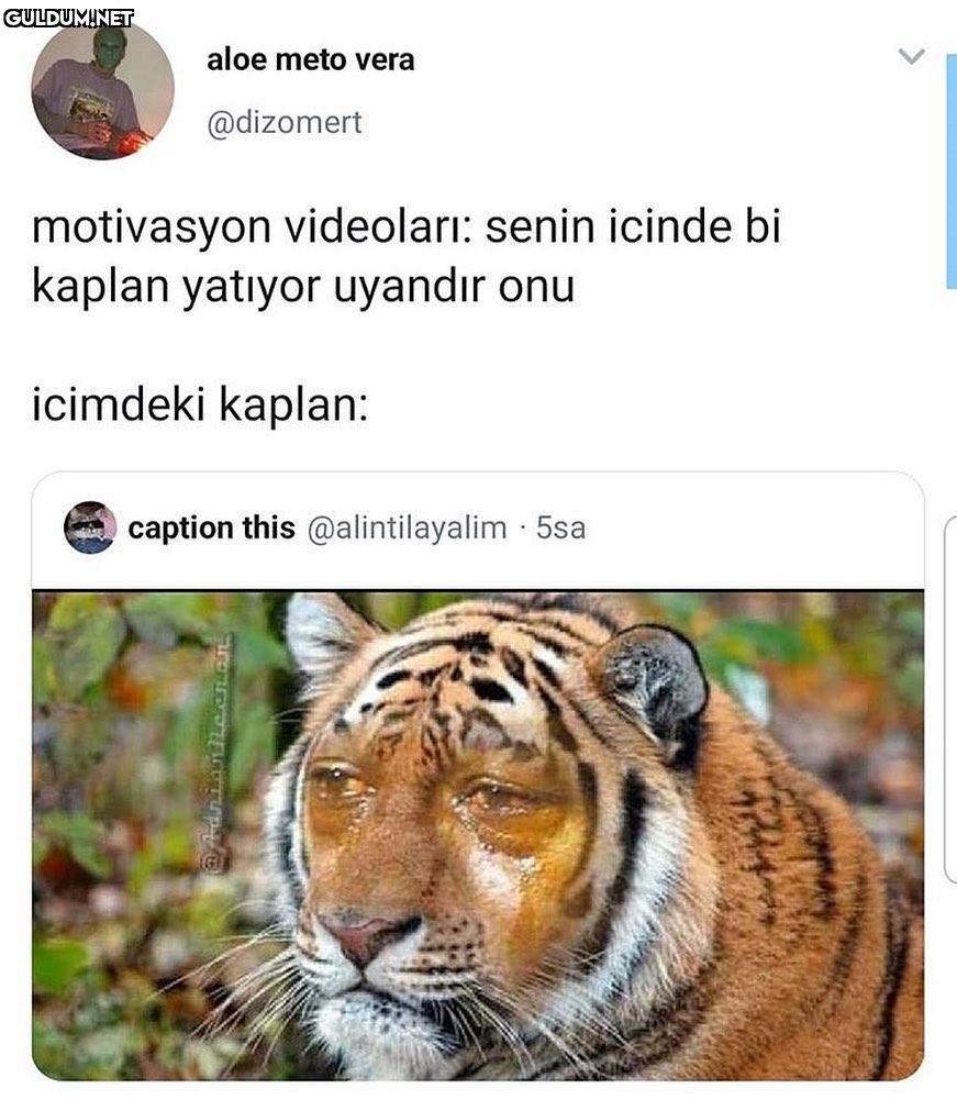 hüzün doluyum aloe meto...