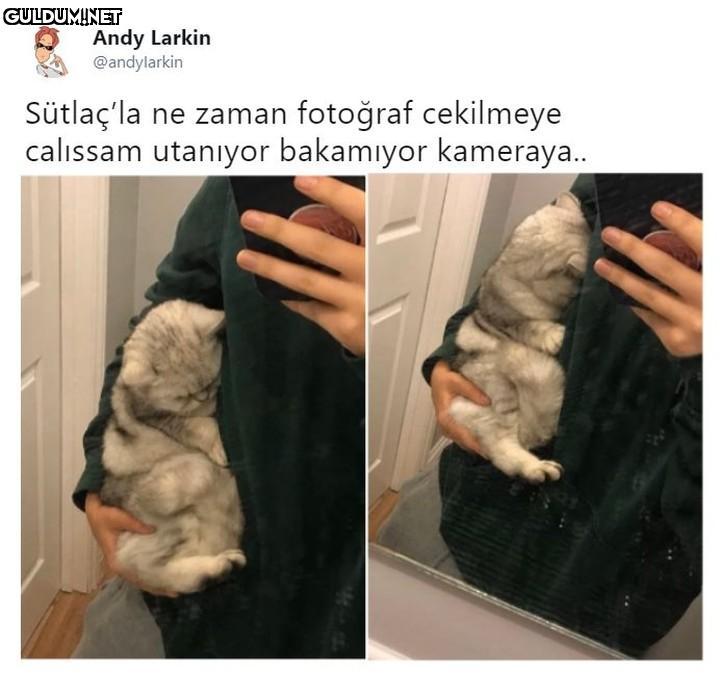 Popular post