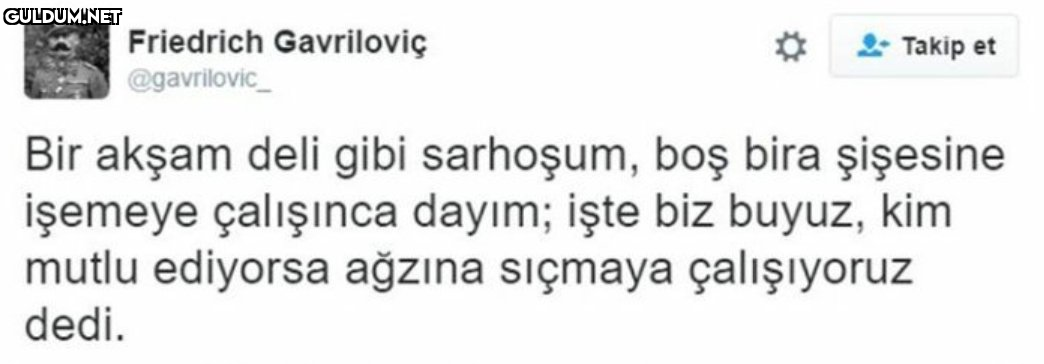 Friedrich Gavriloviç Takip...