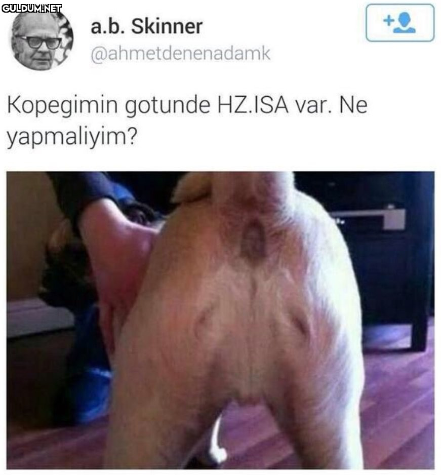 +0 a.b. Skinner...