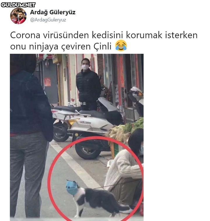 Ardağ Güleryüz...