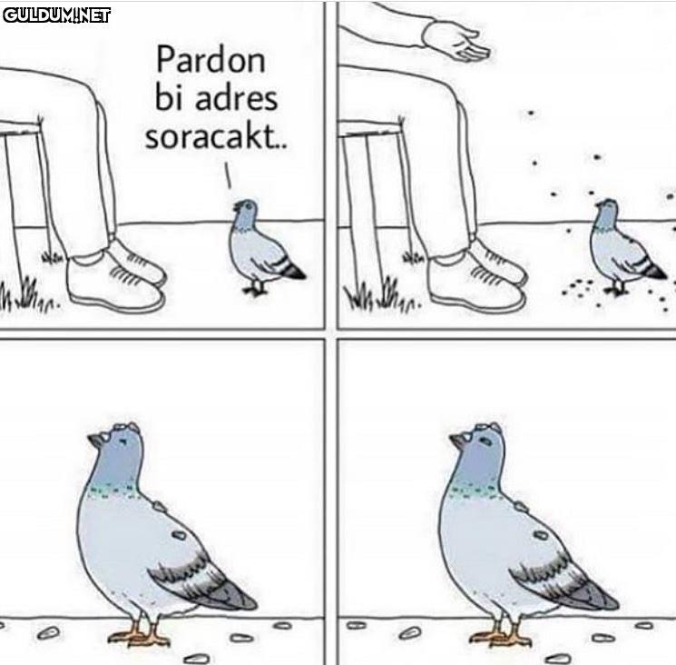 Bi dur be kardeşim! Pardon...
