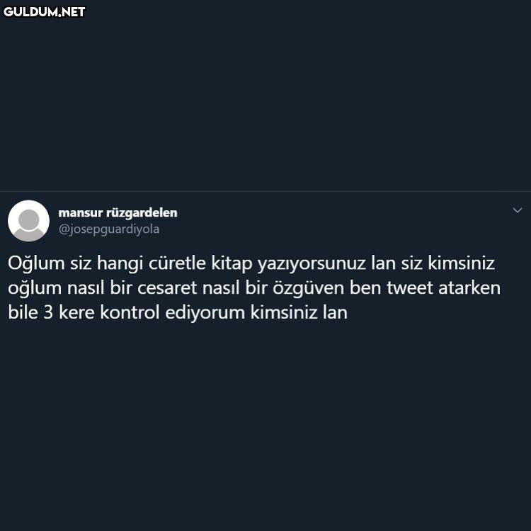 kimsiniz lan mansur...