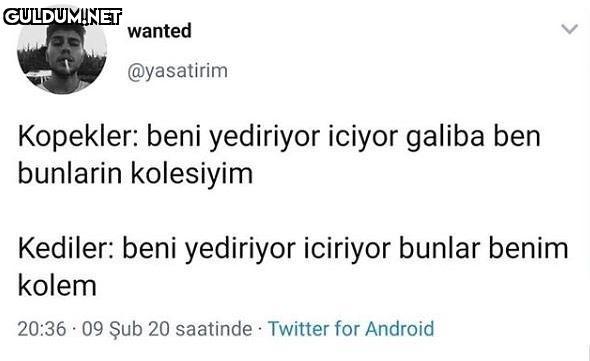 wanted @yasatirim...