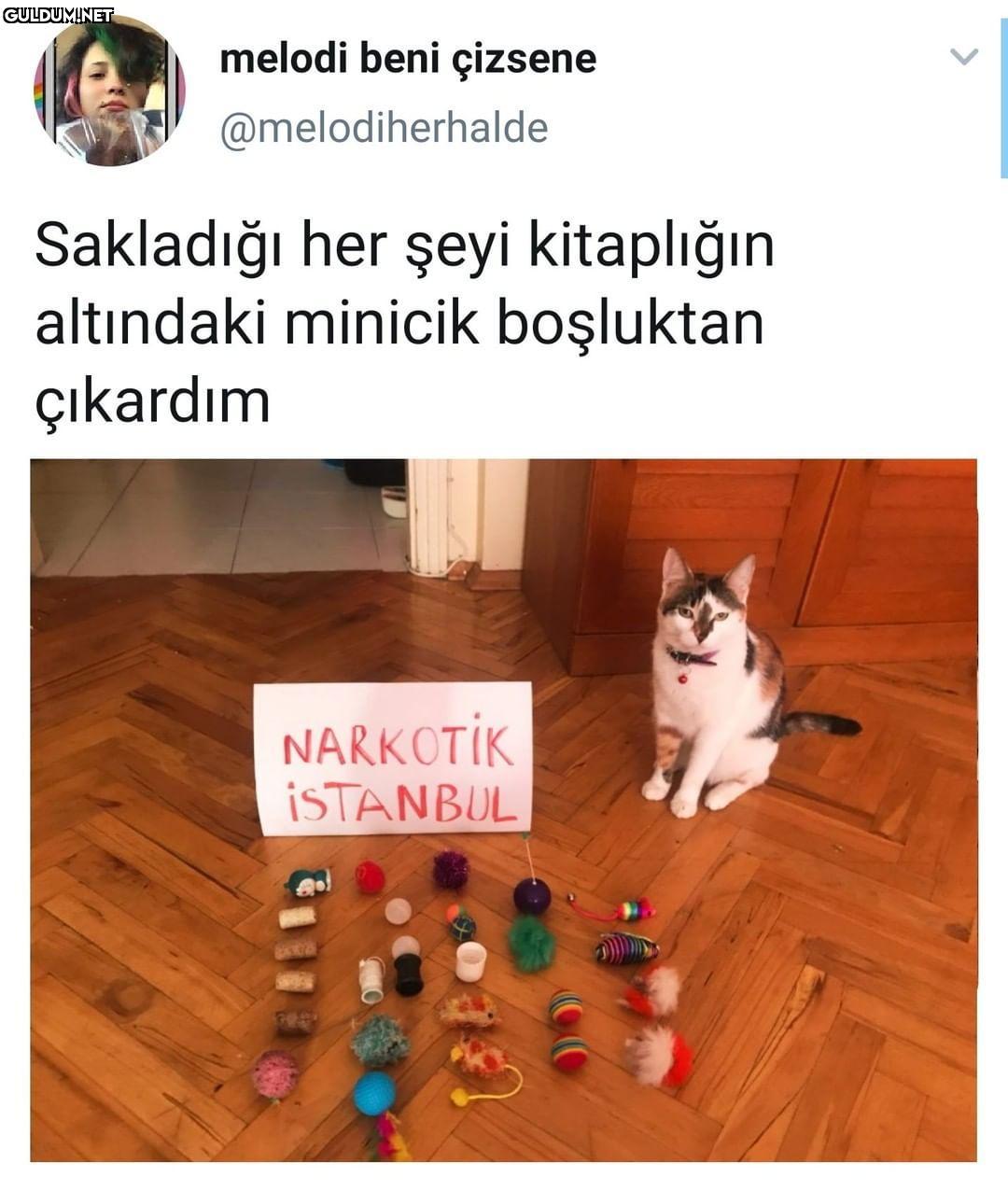 melodi beni çizsene...