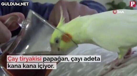 Popular post