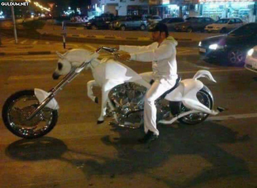 if you wanna ride ride a...