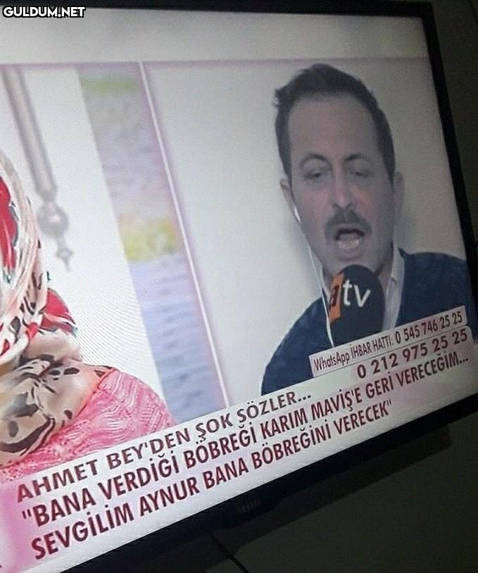 cicikuş? cicikuş is dead...
