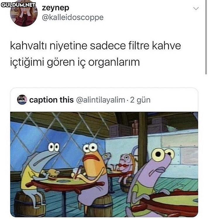 zeynep @kalleidoscoppe...