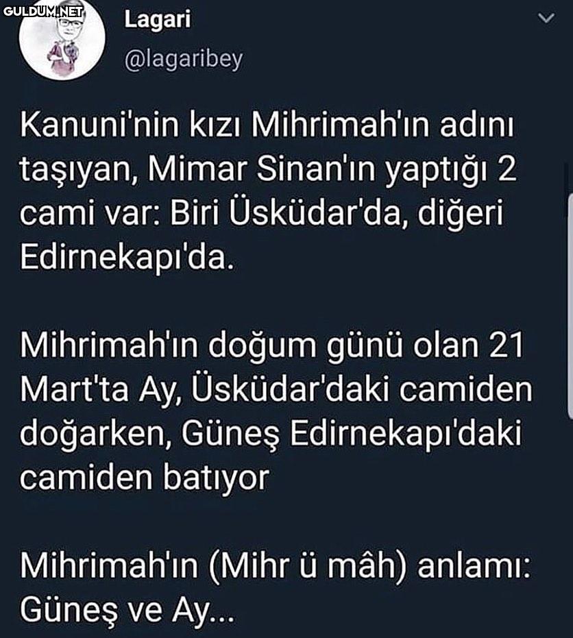 Lagari @lagaribey...