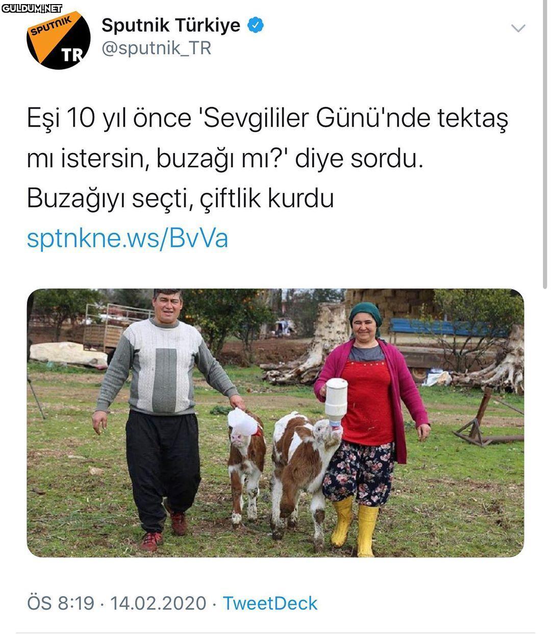Mantık evliliğine güzel...