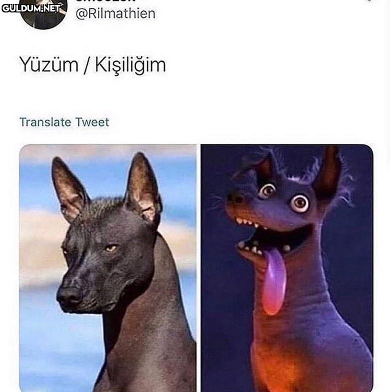 Popular post