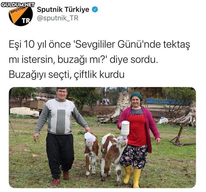 Mantık evliliği nedir?...