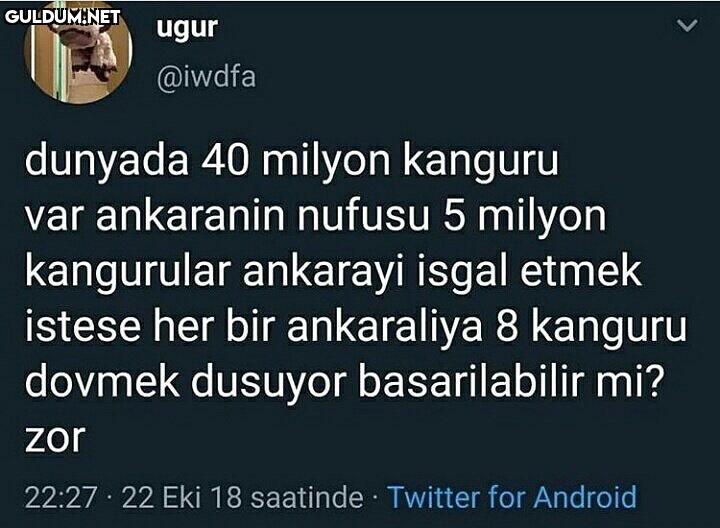 artık 8 kanguru değil ugur...