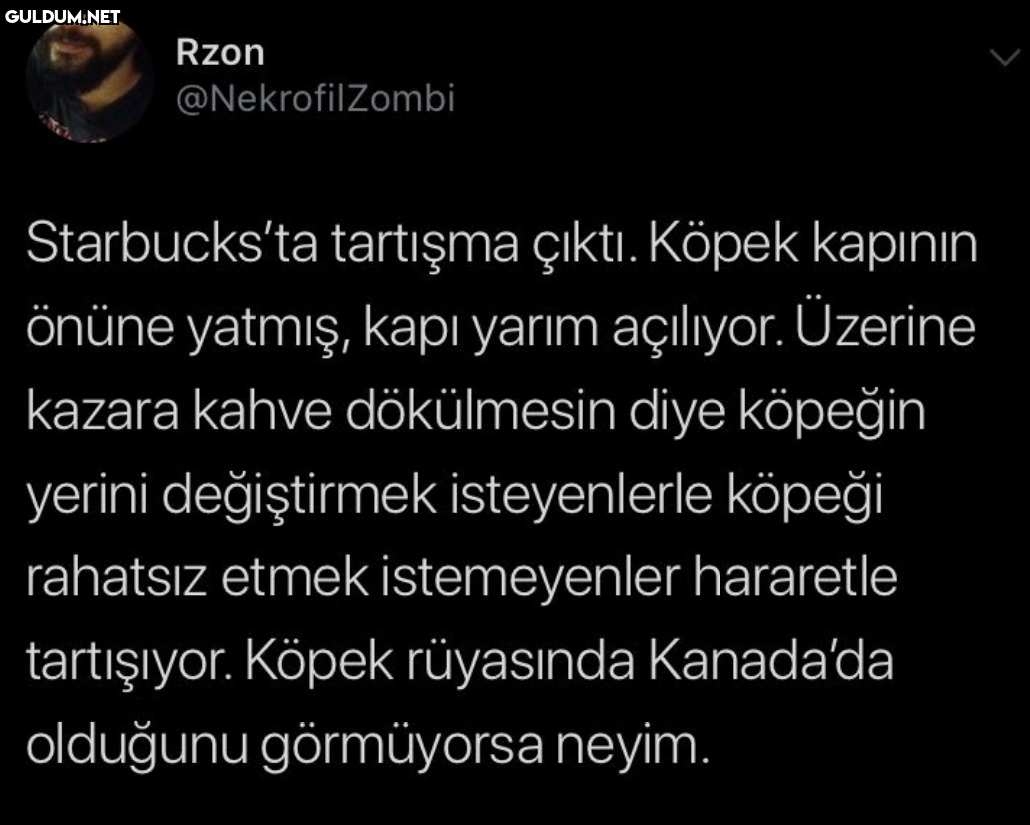 Rzon @NekrofilZombi...