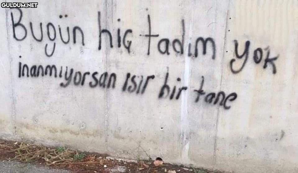 tag your tadına bakmasını...