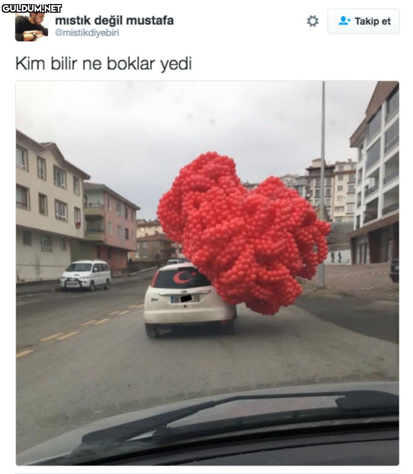 mistık değil mustafa...
