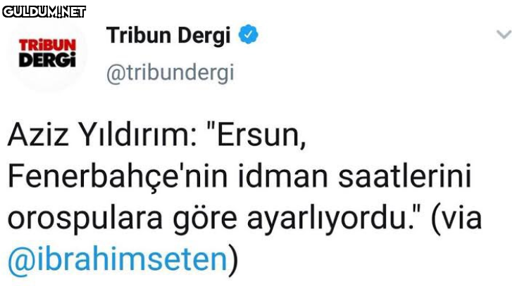 Tribun Dergi TRIBUN DERGI...