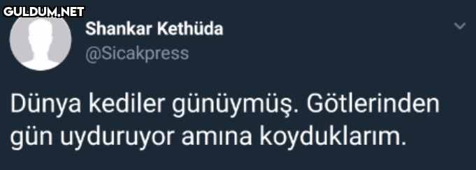 Shankar Kethüda...