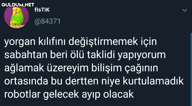 FISTIK @84371 yorgan...