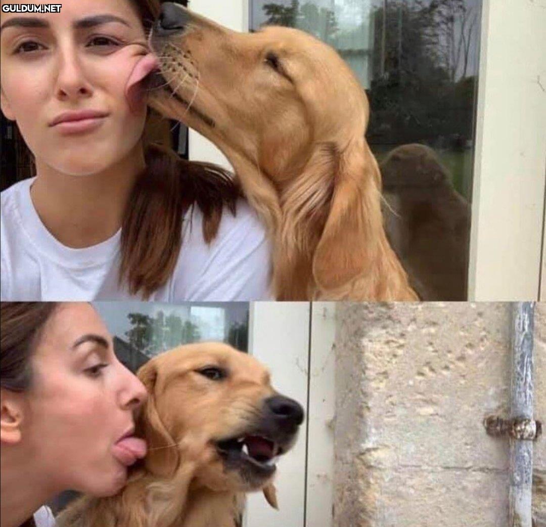 Günaydın 😜