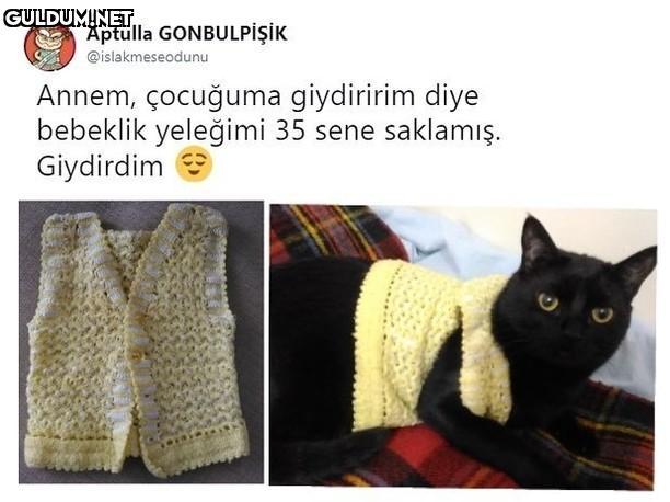 Aptulla GONBULPİŞİK...
