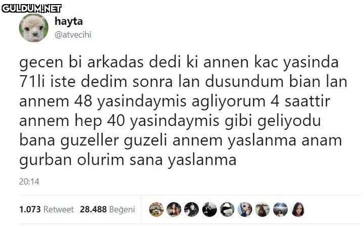 hayta @atvecihi gecen bi...