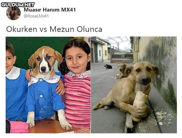 Popular post