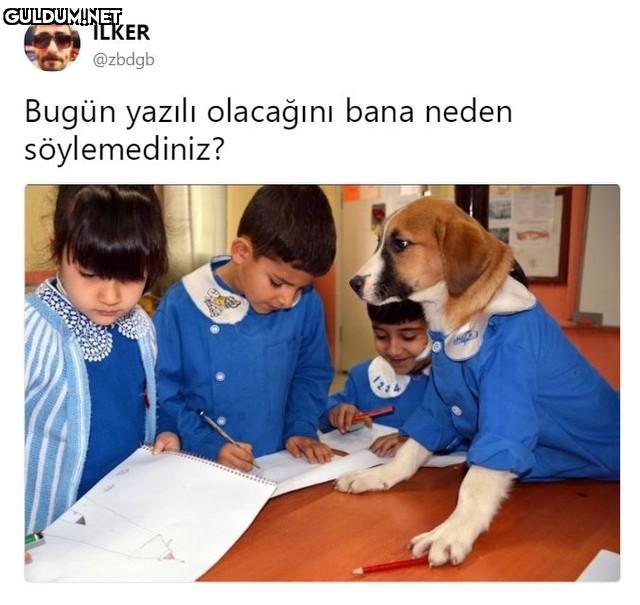 İLKER @zbdgb Bugün yazılı...
