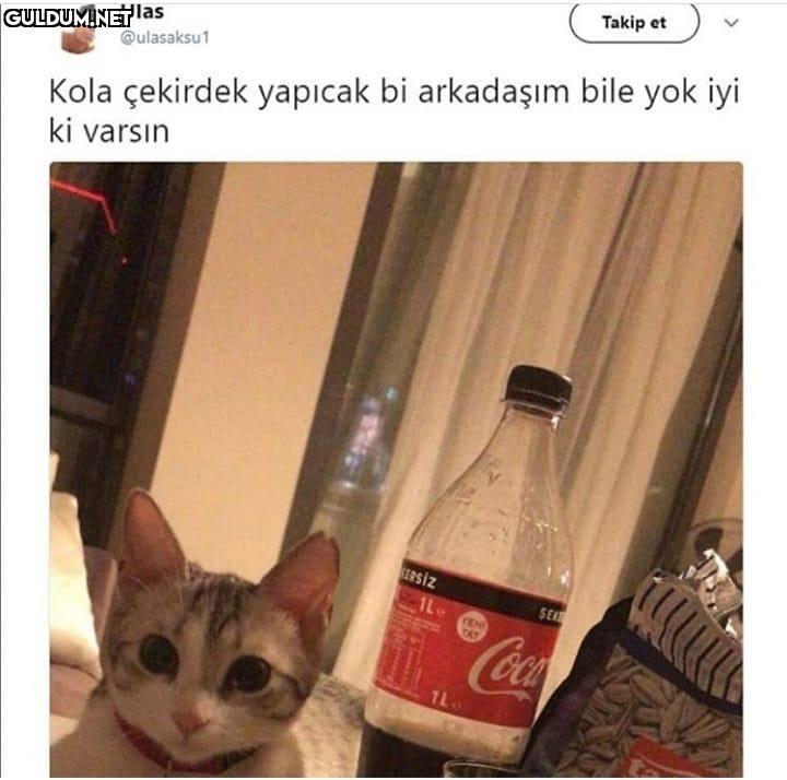 Tipe bak KAKAKRKAKDKWSKEM...