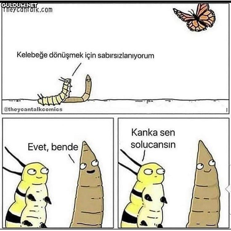 Yazık lan theycantalk.com...