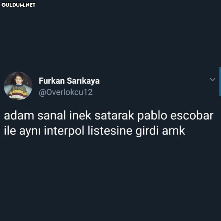 Furkan Sarıkaya...