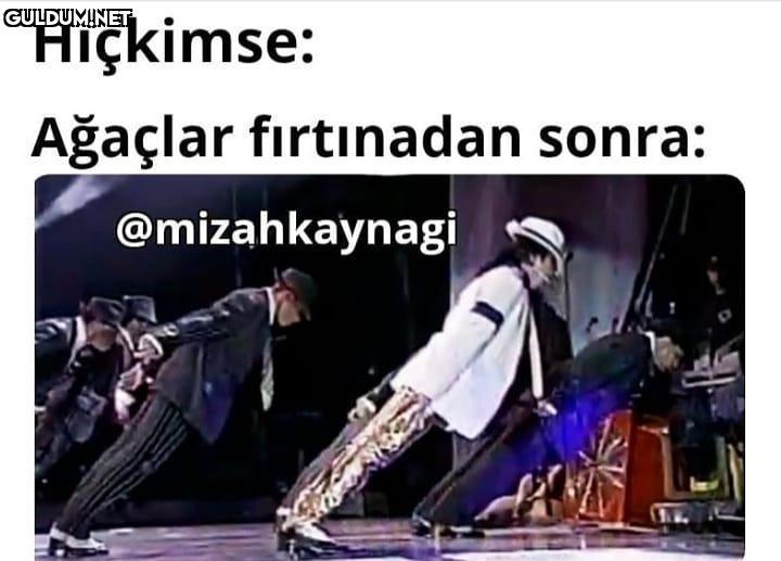 Hiçkimse: Ağaçlar...