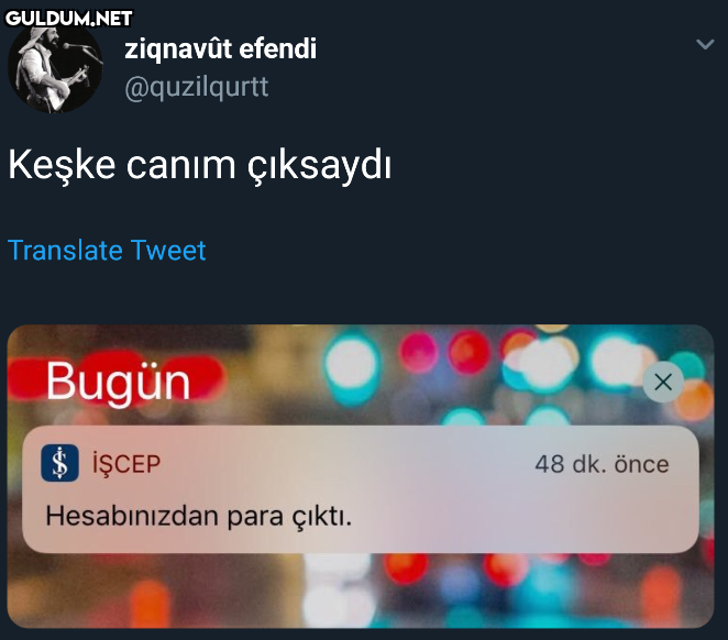 ziqnavût efendi...