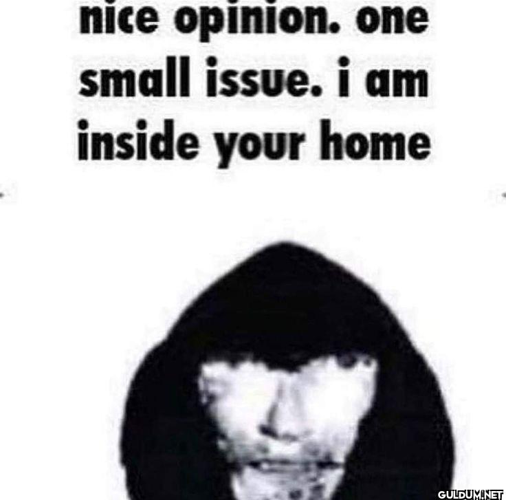 nice opinion. one small...