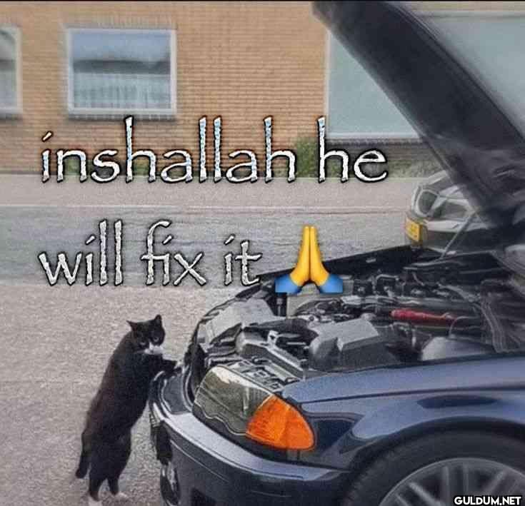 inshallah he will fix it