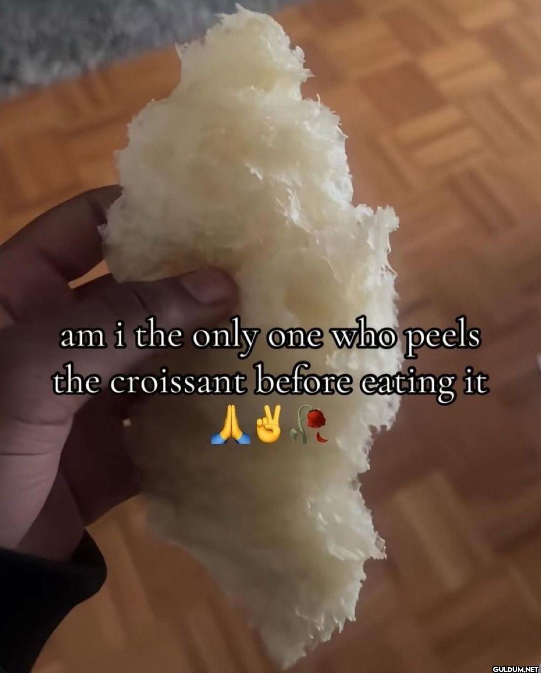 am i the only one who...