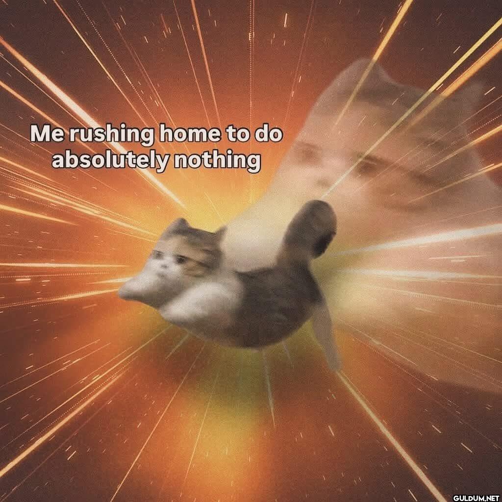 Me rushing home to do...