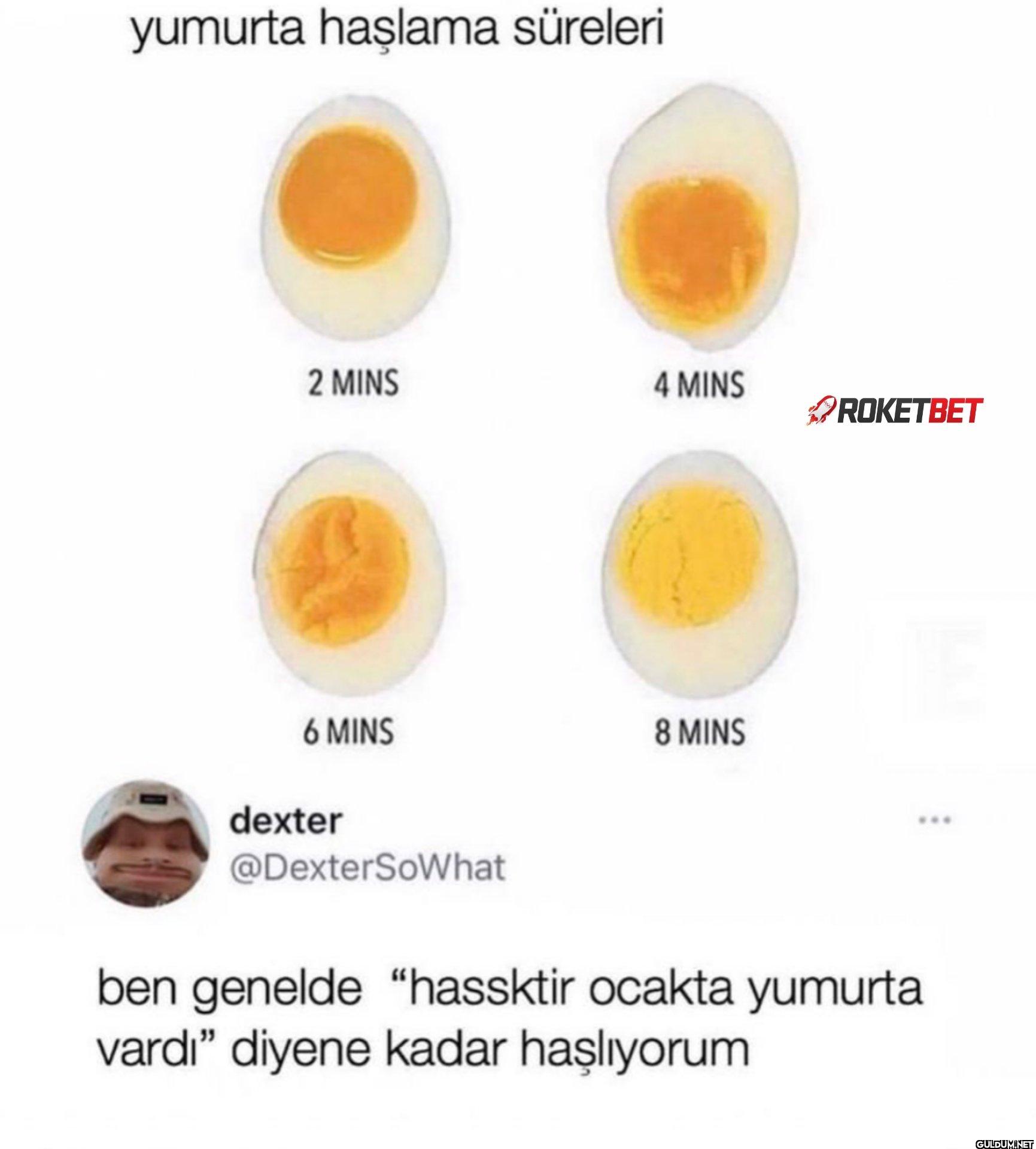 yumurta haşlama süreleri 2...