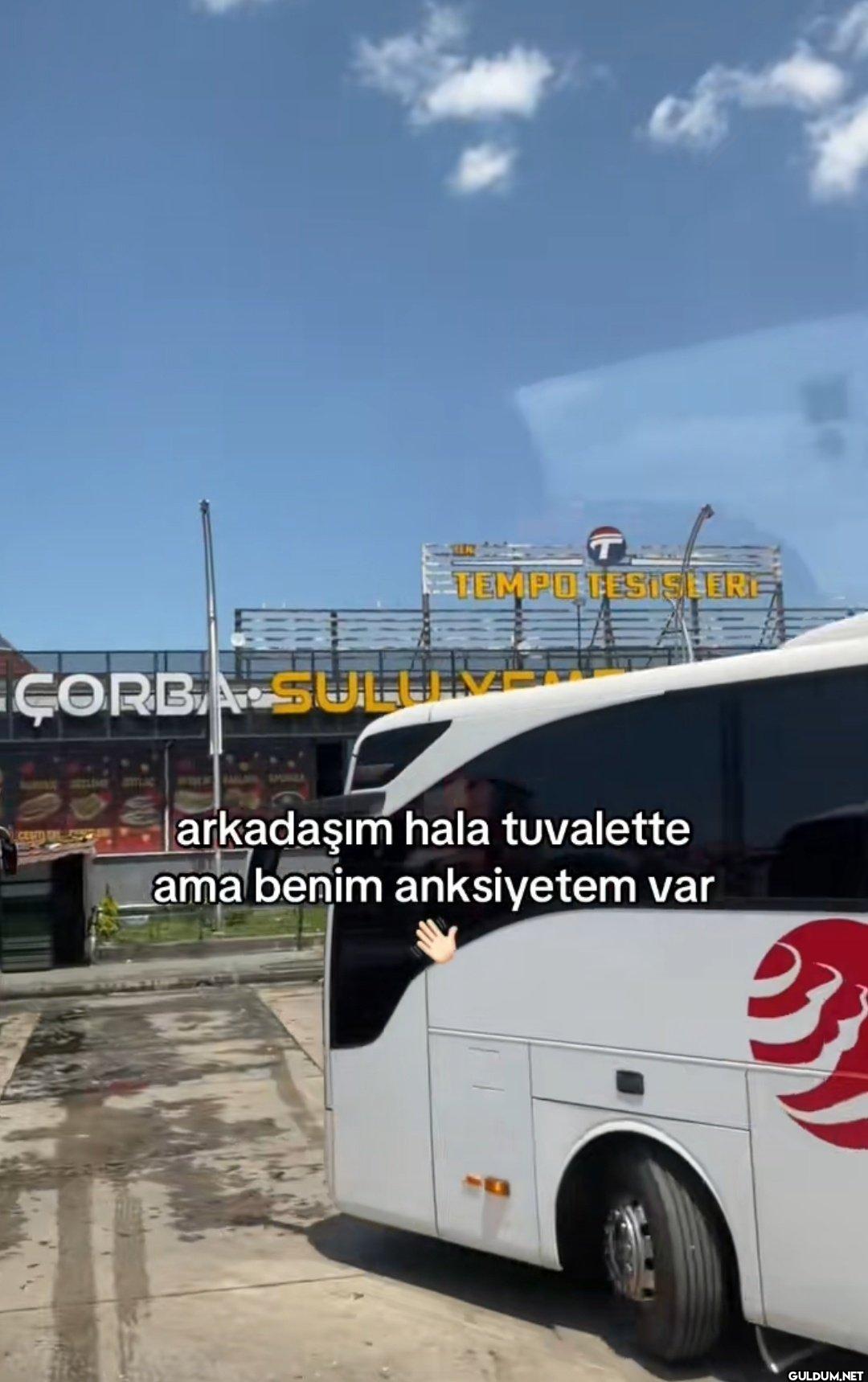 ÇORBA SULEL JO CERT TEMPO...