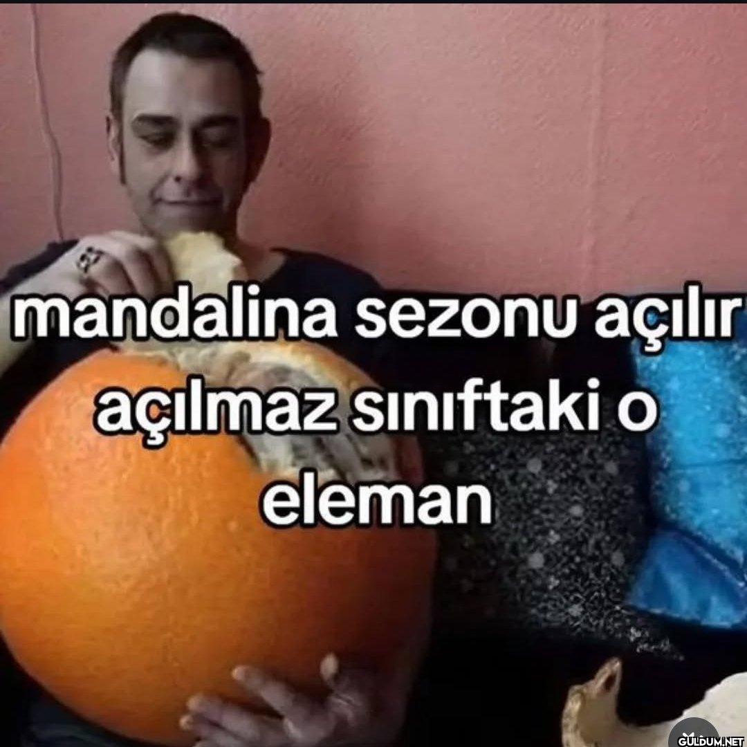 mandalina sezonu açılır...