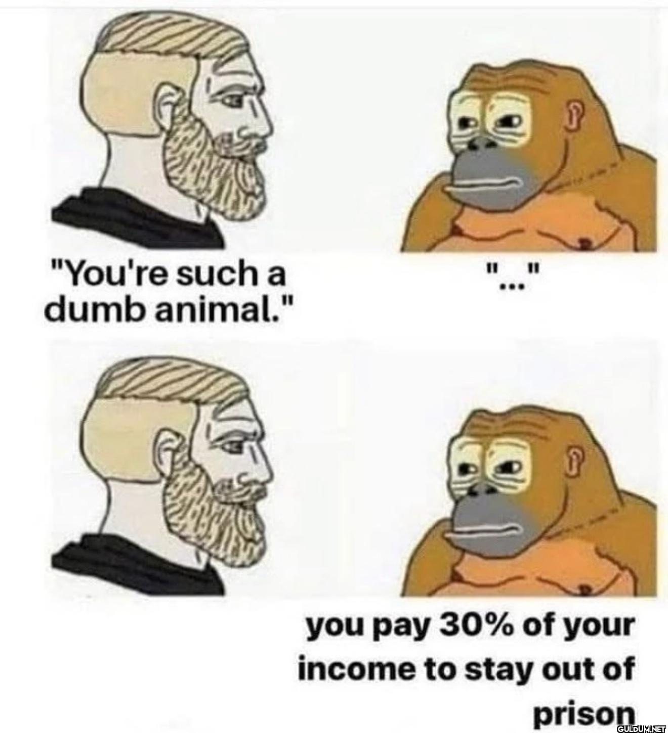 "You're such a dumb...