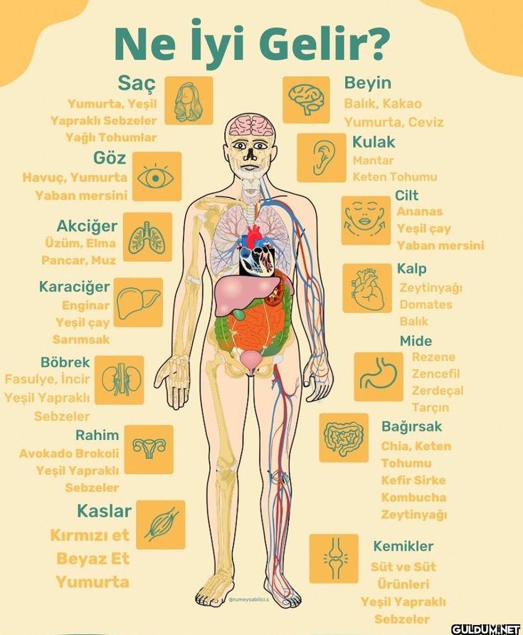 VÜCUDUMUZA NE İYİ GELİR 👇🎈...