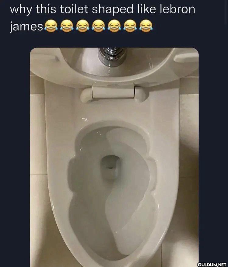 why this toilet shaped lebron james
