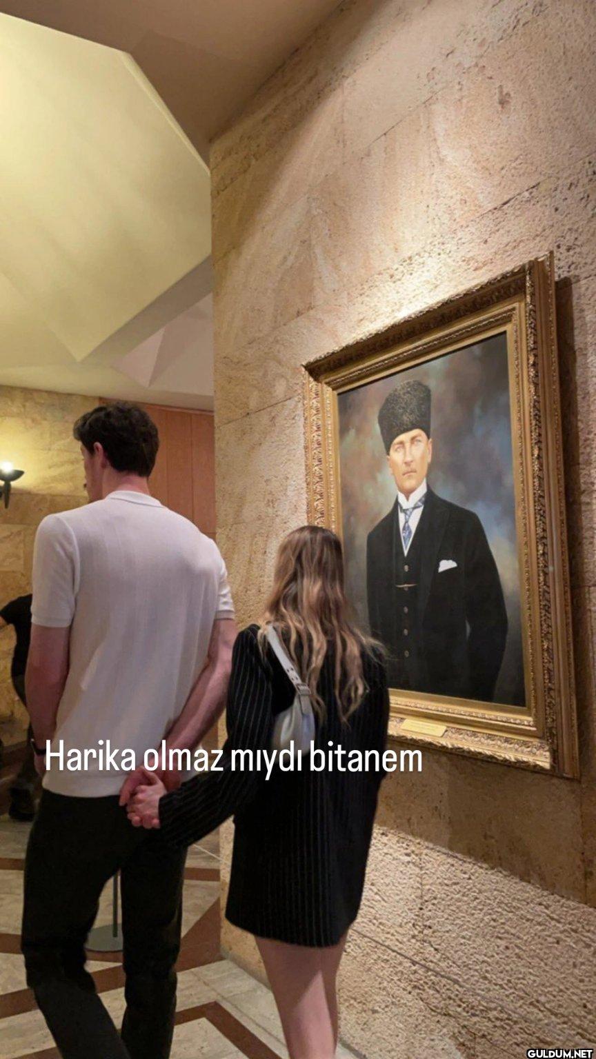 T Harika olmaz mıydı bitanem