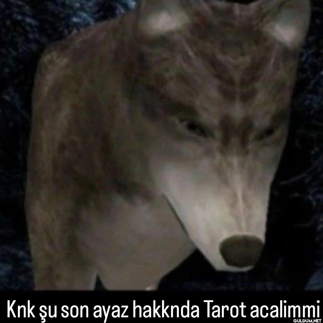 Knk şu son ayaz hakknda...