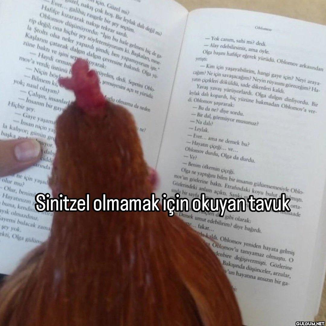 Evet... galiba; rasgele...