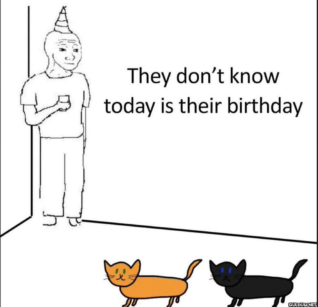 They don't know today is...
