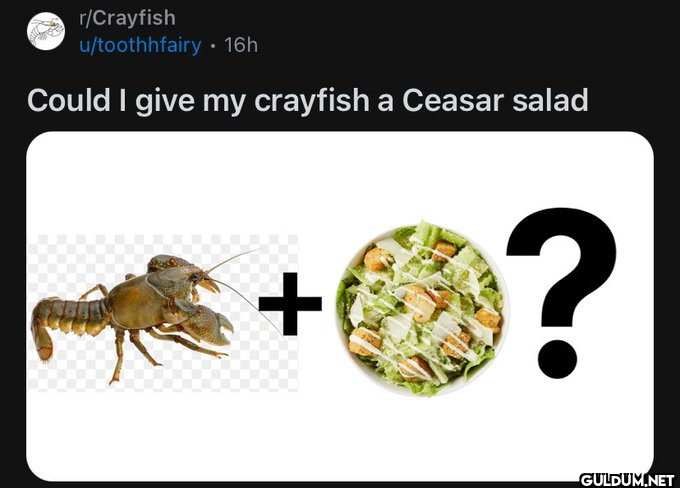 Popular post