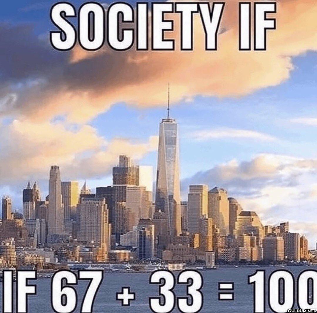 SOCIETY IF IF 67+33 = 100